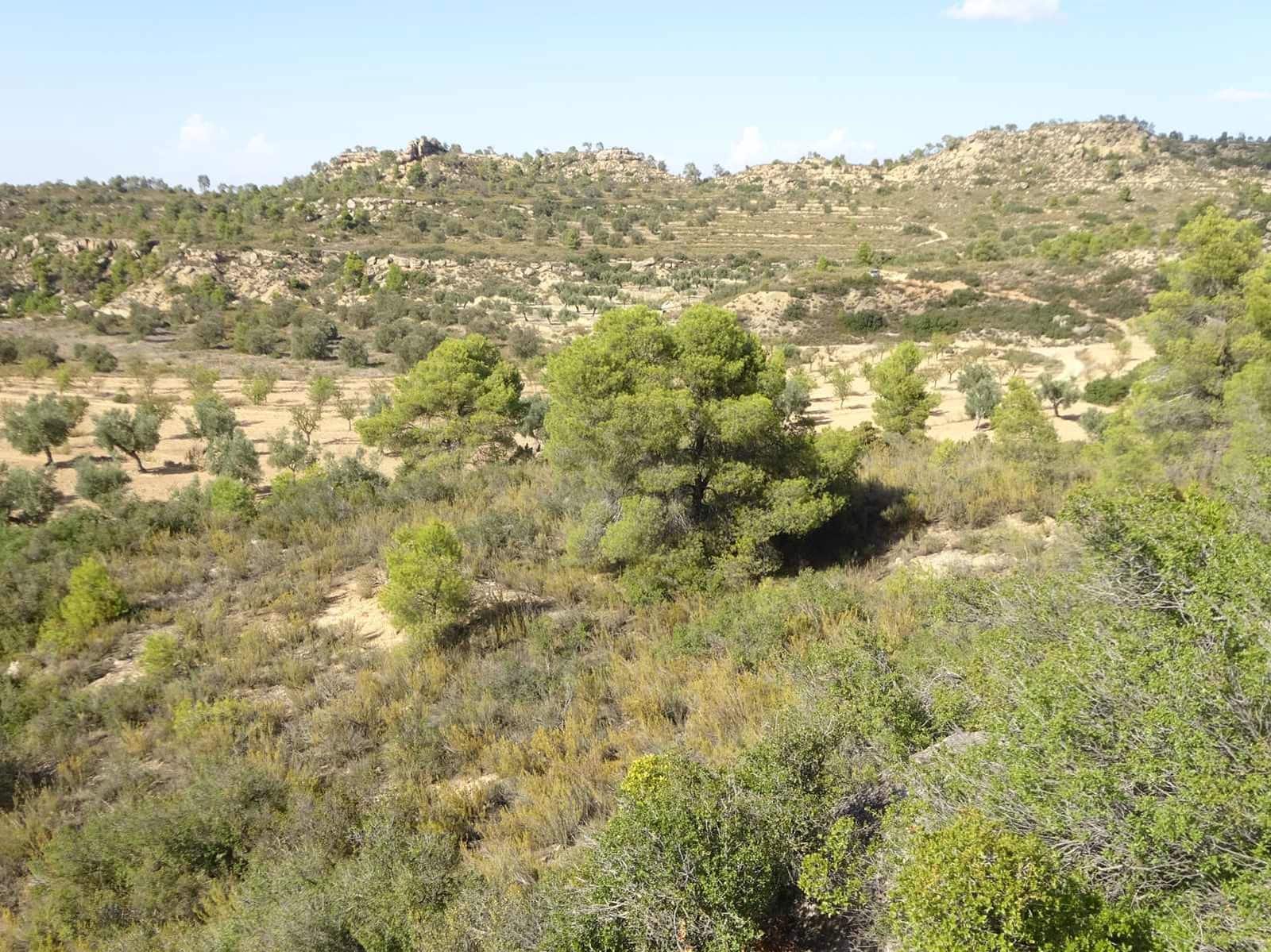 Finca/Country House for sale in Maella - € 64,000 (Ref: 7406905)