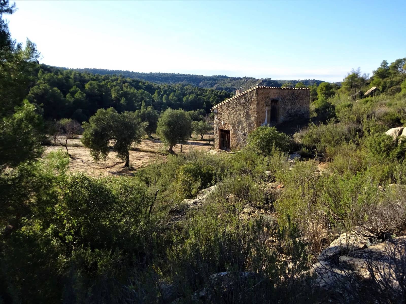 Finca/Casa Rural en Maella en venta - 21.000 € (Ref: 7406913)