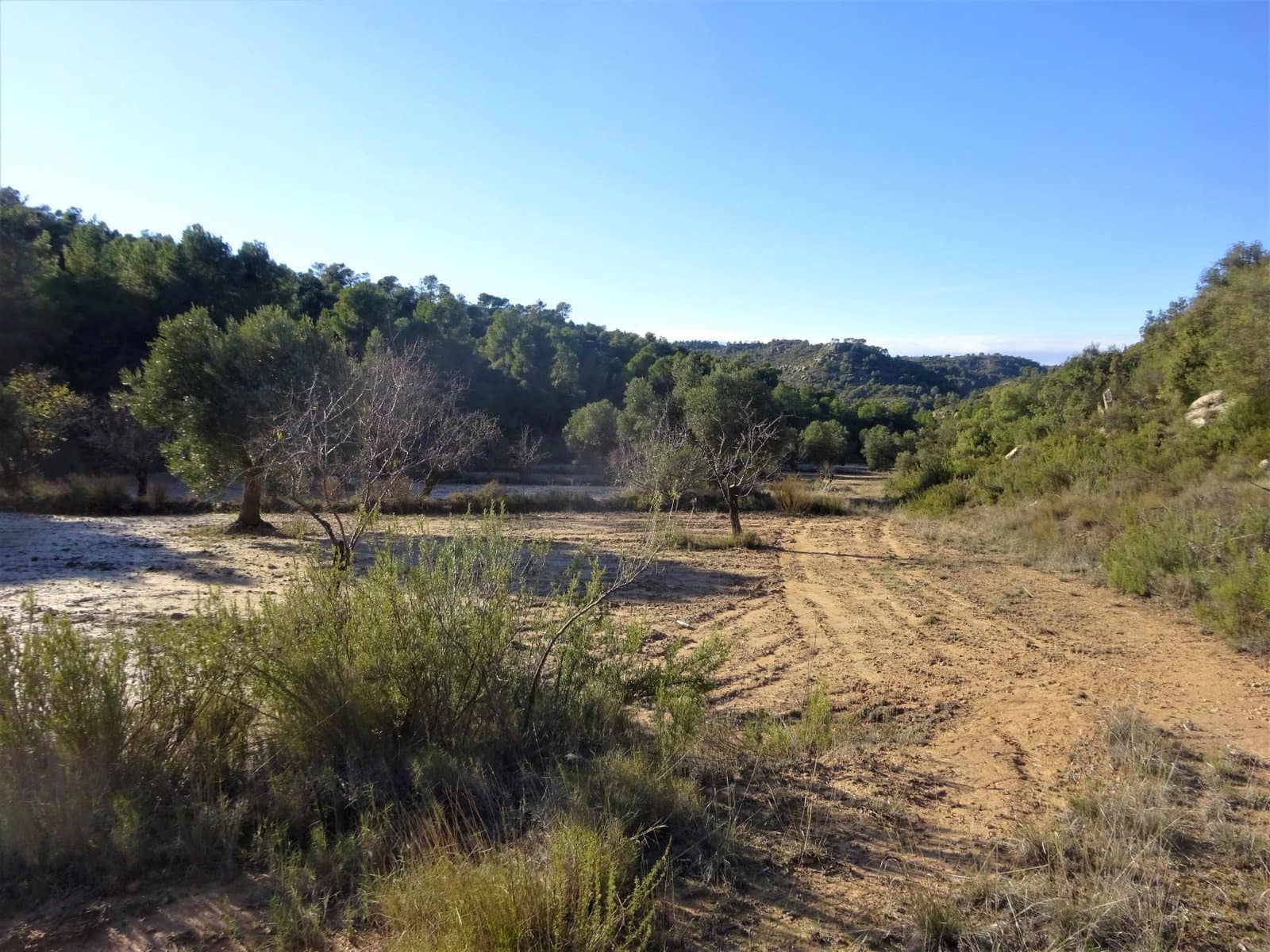 Finca/Casa Rural en Maella en venta - 21.000 € (Ref: 7406913)