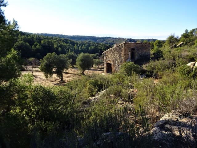 Finca/Casa Rural en Maella en venta - 21.000 € (Ref: 7406913)