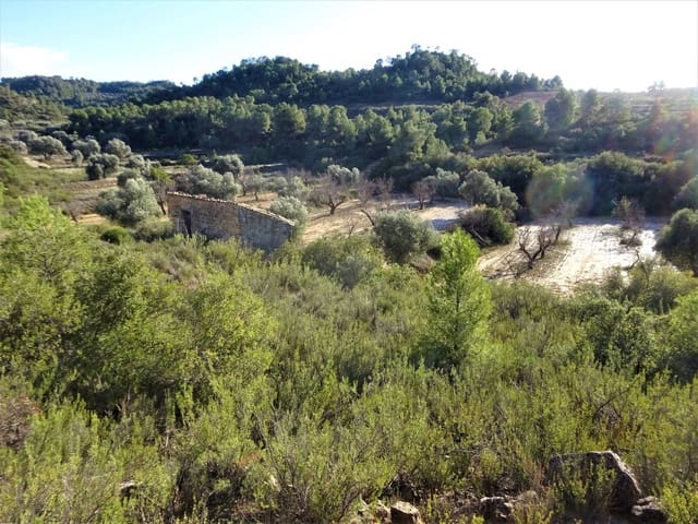 Finca/Casa Rural en Maella en venta - 21.000 € (Ref: 7406913)