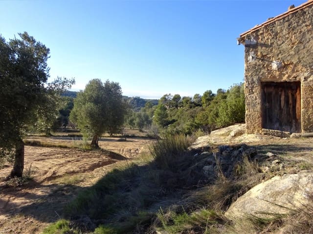 Finca/Casa Rural en Maella en venta - 21.000 € (Ref: 7406913)