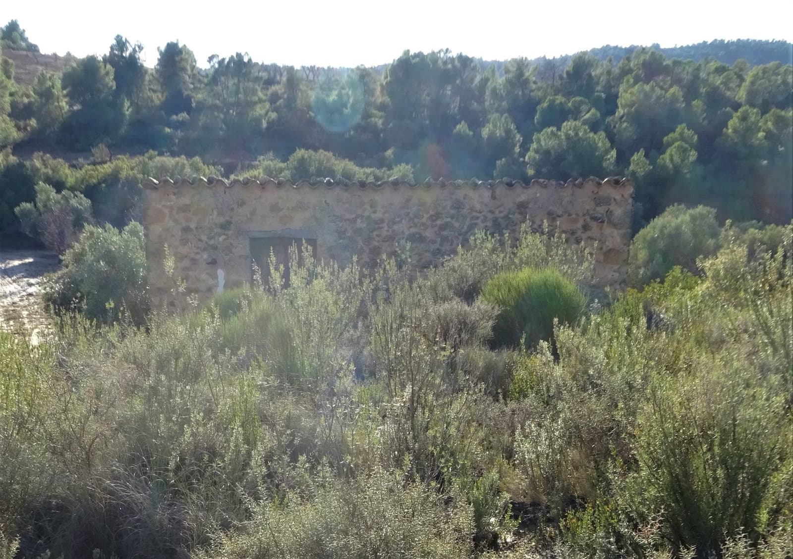 Finca/Casa Rural en Maella en venta - 21.000 € (Ref: 7406913)