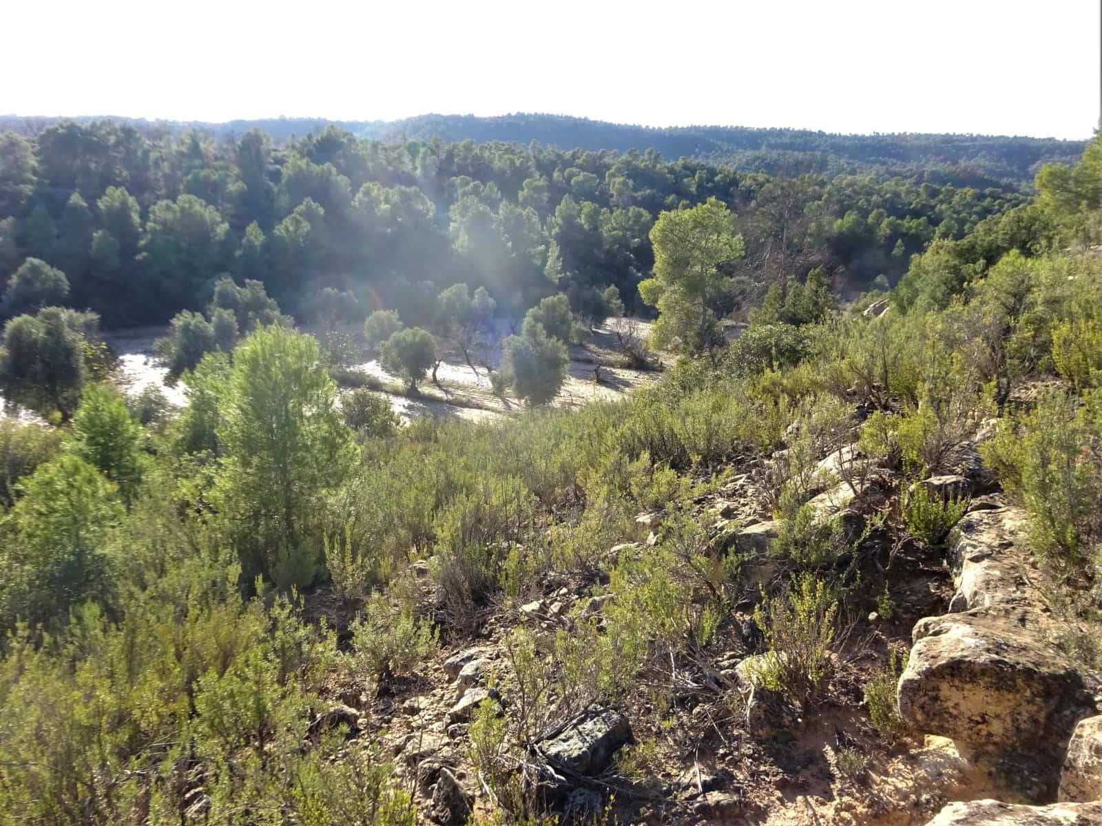 Finca/Casa Rural en Maella en venta - 21.000 € (Ref: 7406913)
