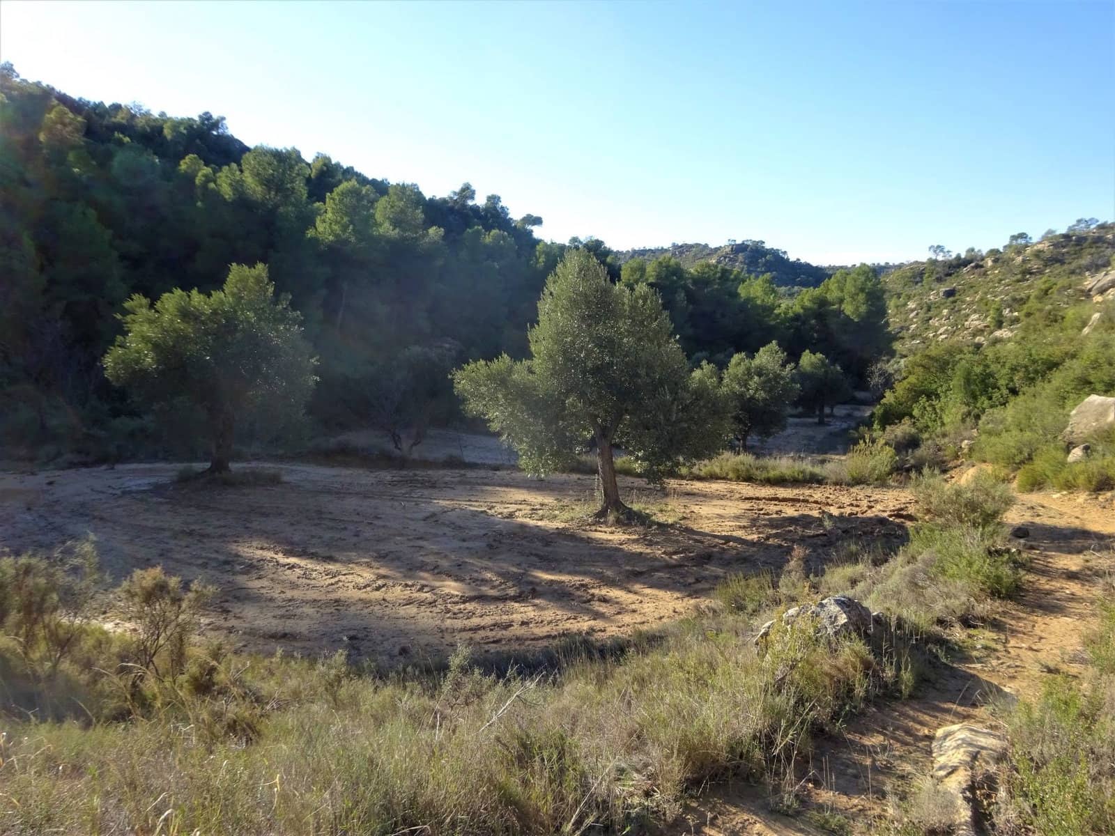 Finca/Casa Rural en Maella en venta - 21.000 € (Ref: 7406913)
