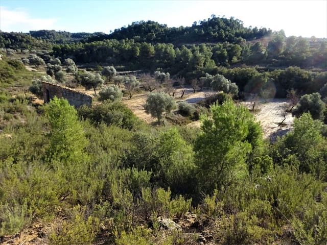 Finca/Casa Rural en Maella en venta - 21.000 € (Ref: 7406913)