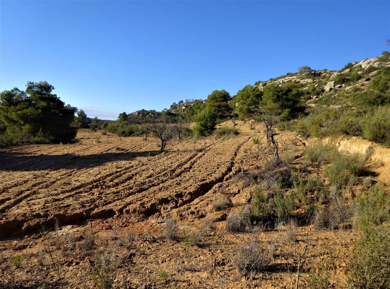 Finca/Casa Rural en Maella en venta - 21.000 € (Ref: 7406913)