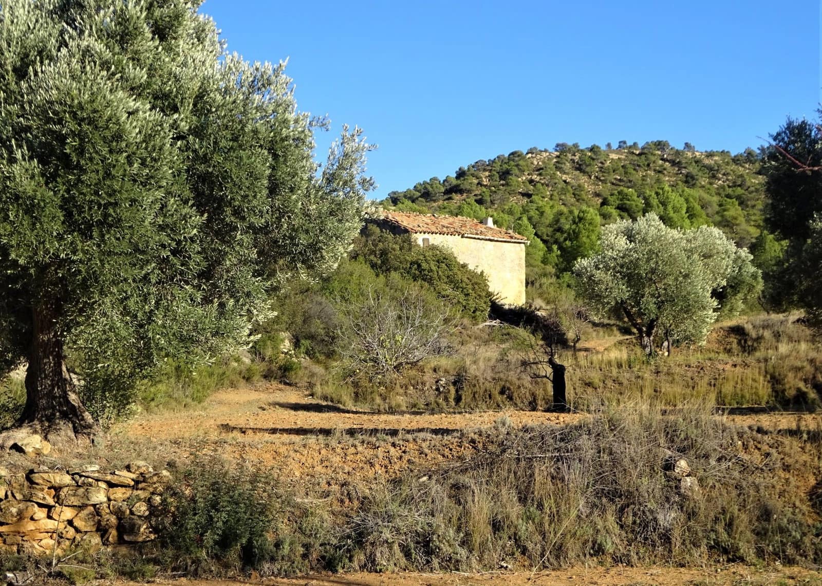 Finca/Casa Rural en Maella en venta - 21.000 € (Ref: 7406913)