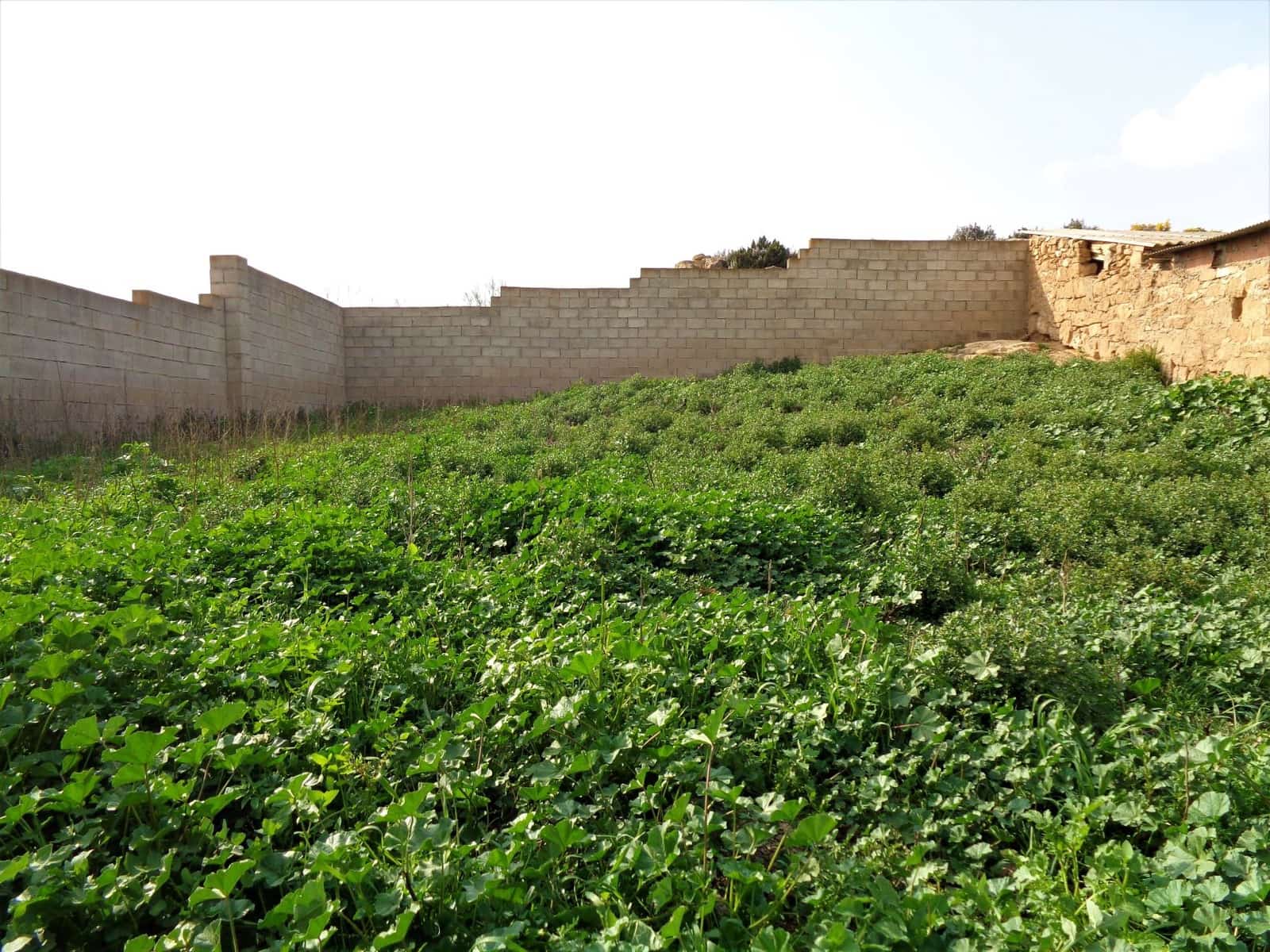 Finca/Landehus til salg i Caspe med garage - € 29.000 (Ref: 7406922)