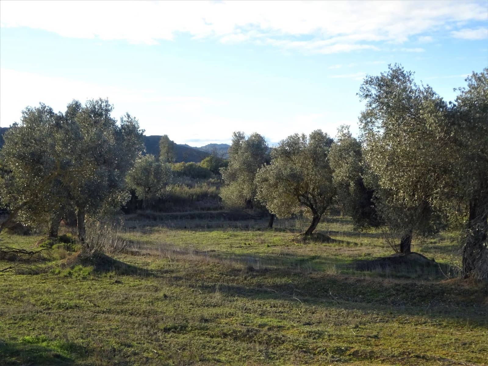 Leilighet til salgs i Maella - € 13 500 (Ref: 7406934)