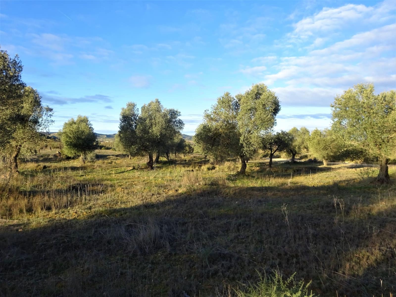 Leilighet til salgs i Maella - € 13 500 (Ref: 7406934)