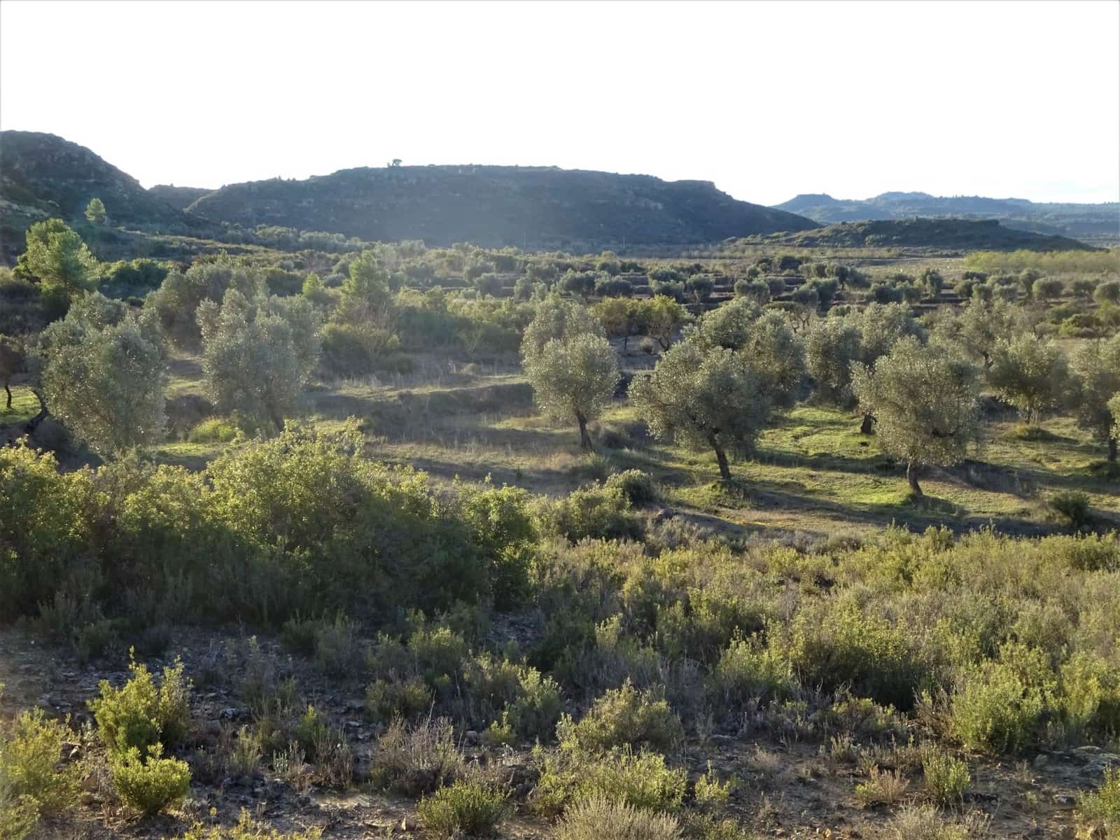 Leilighet til salgs i Maella - € 13 500 (Ref: 7406934)