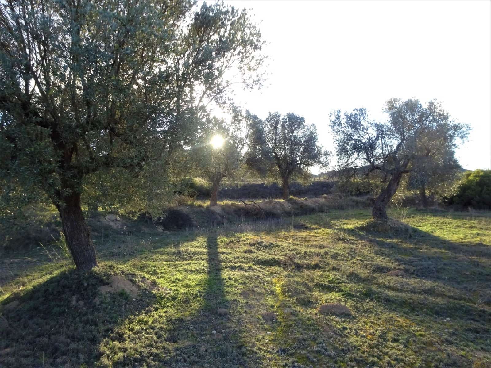 Leilighet til salgs i Maella - € 13 500 (Ref: 7406934)