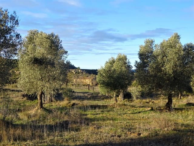 Apartment for sale in Maella - € 13,500 (Ref: 7406934)