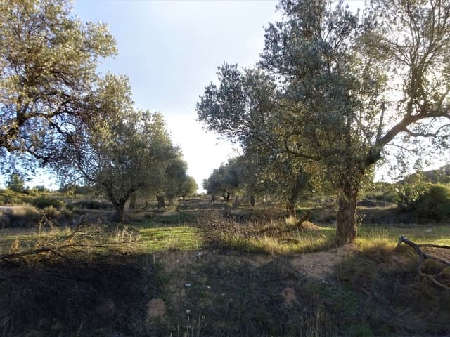 Apartment for sale in Maella - € 13,500 (Ref: 7406934)