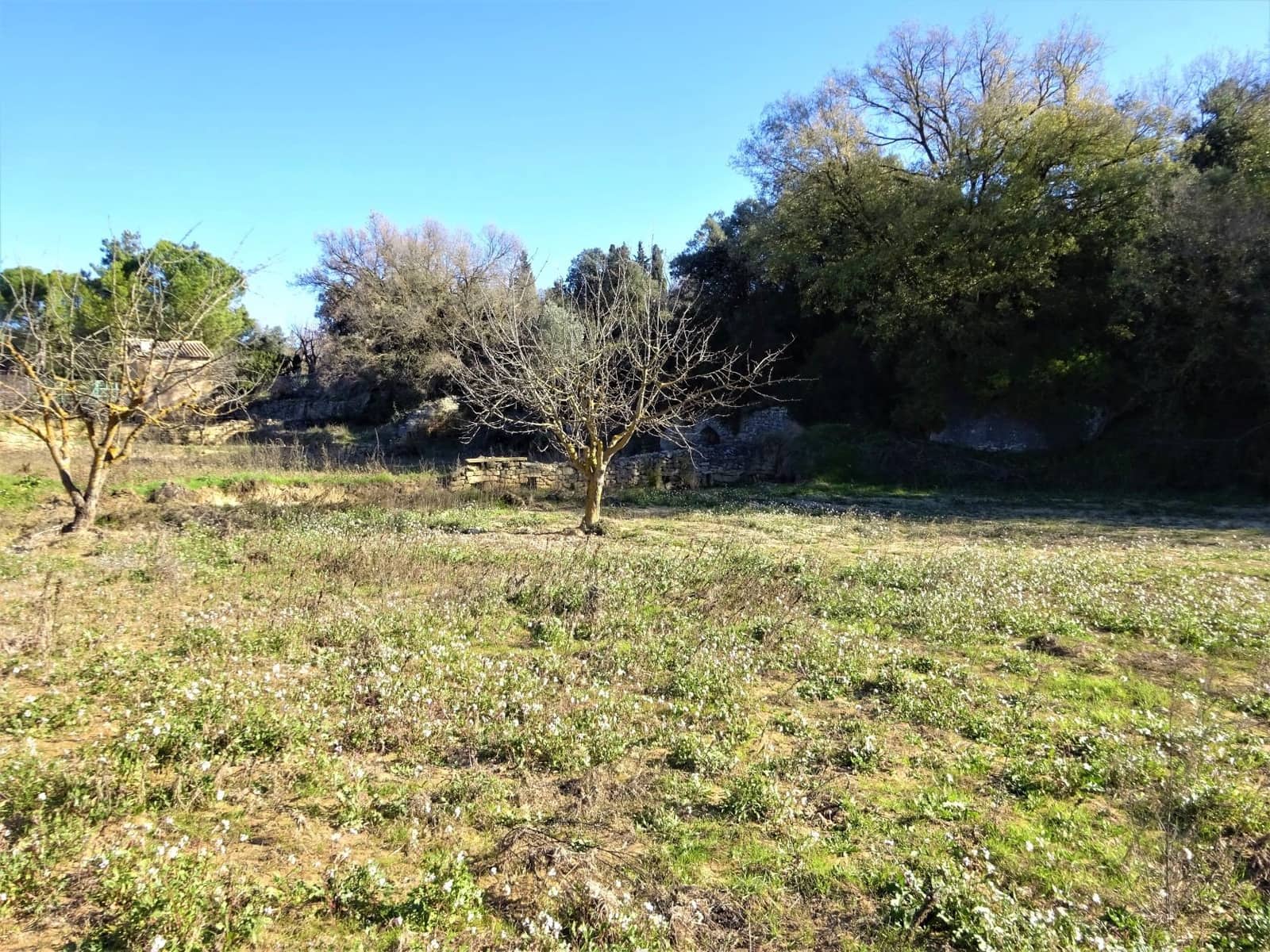 2 soveværelse Finca/Landehus til salg i Calaceite med swimmingpool garage - € 69.000 (Ref: 7406936)