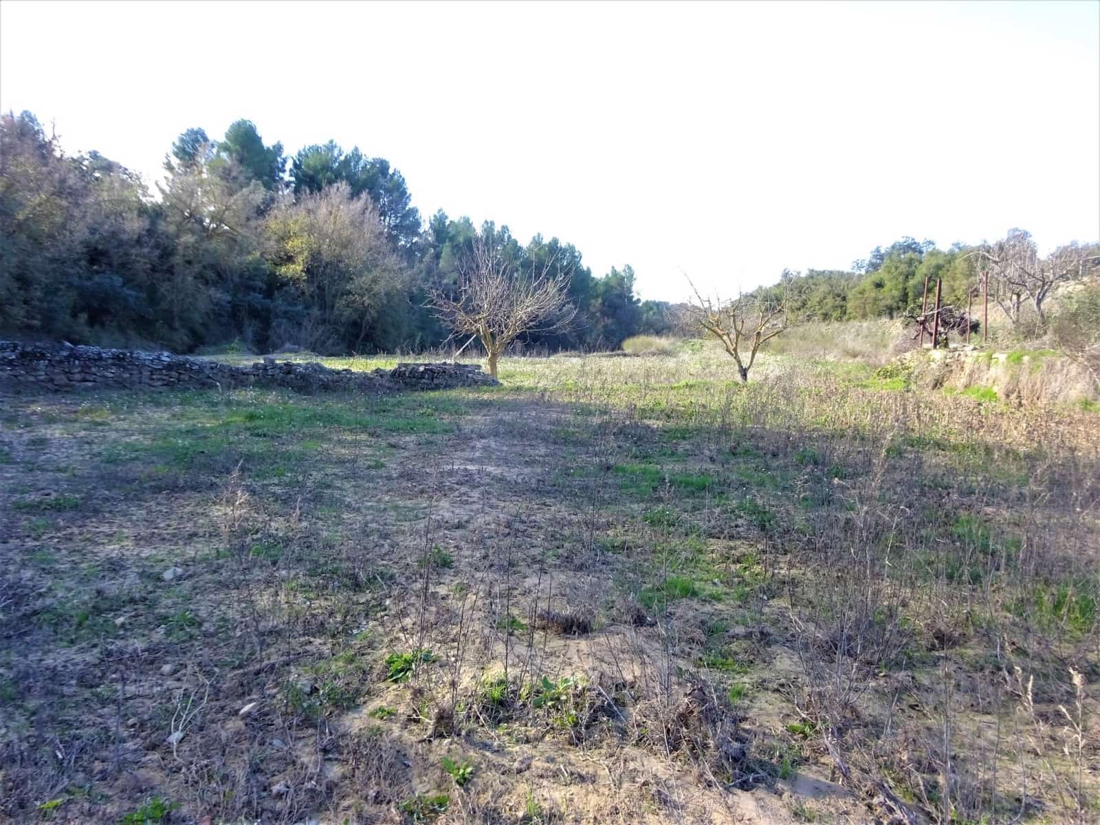 2 soveværelse Finca/Landehus til salg i Calaceite med swimmingpool garage - € 69.000 (Ref: 7406936)