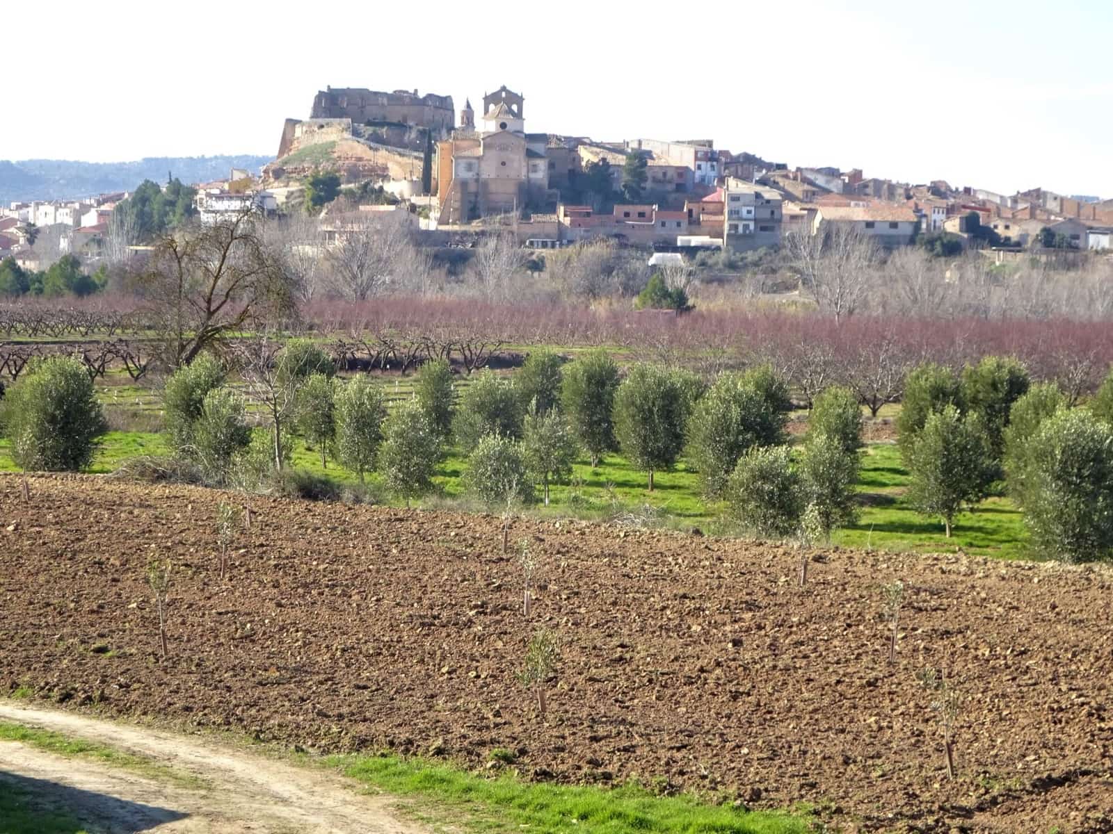 3 soverom Finca/Herregård til salgs i Maella - € 12 000 (Ref: 7406940)