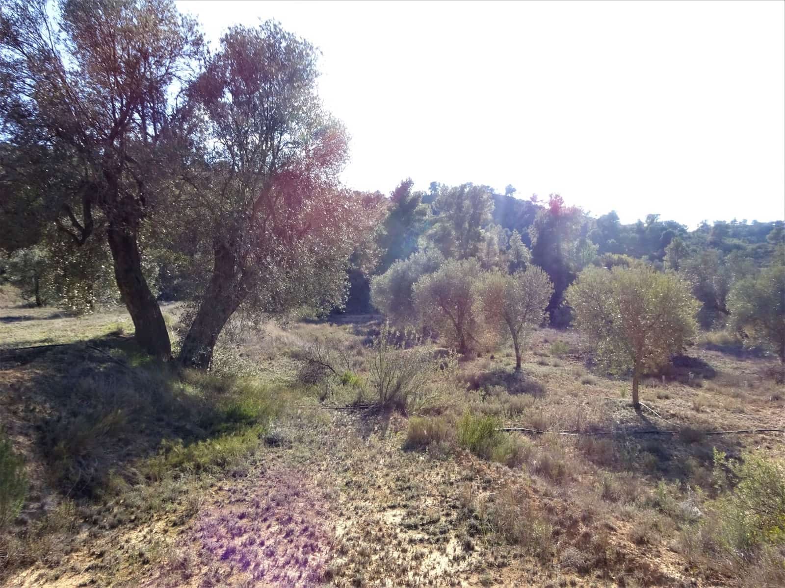Finca/Herregård til salgs i Maella - € 16 000 (Ref: 7406944)