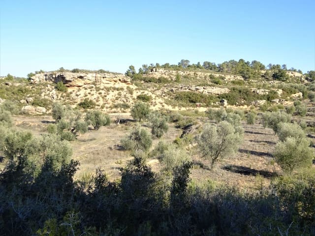 Finca/Herregård til salgs i Maella - € 16 000 (Ref: 7406944)