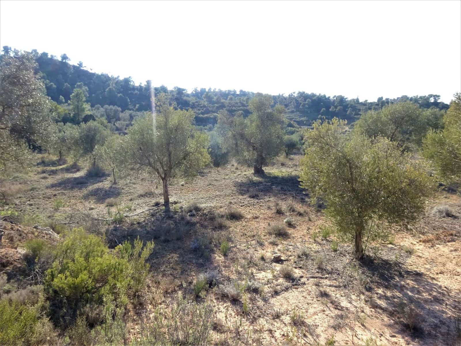 Finca/Herregård til salgs i Maella - € 16 000 (Ref: 7406944)