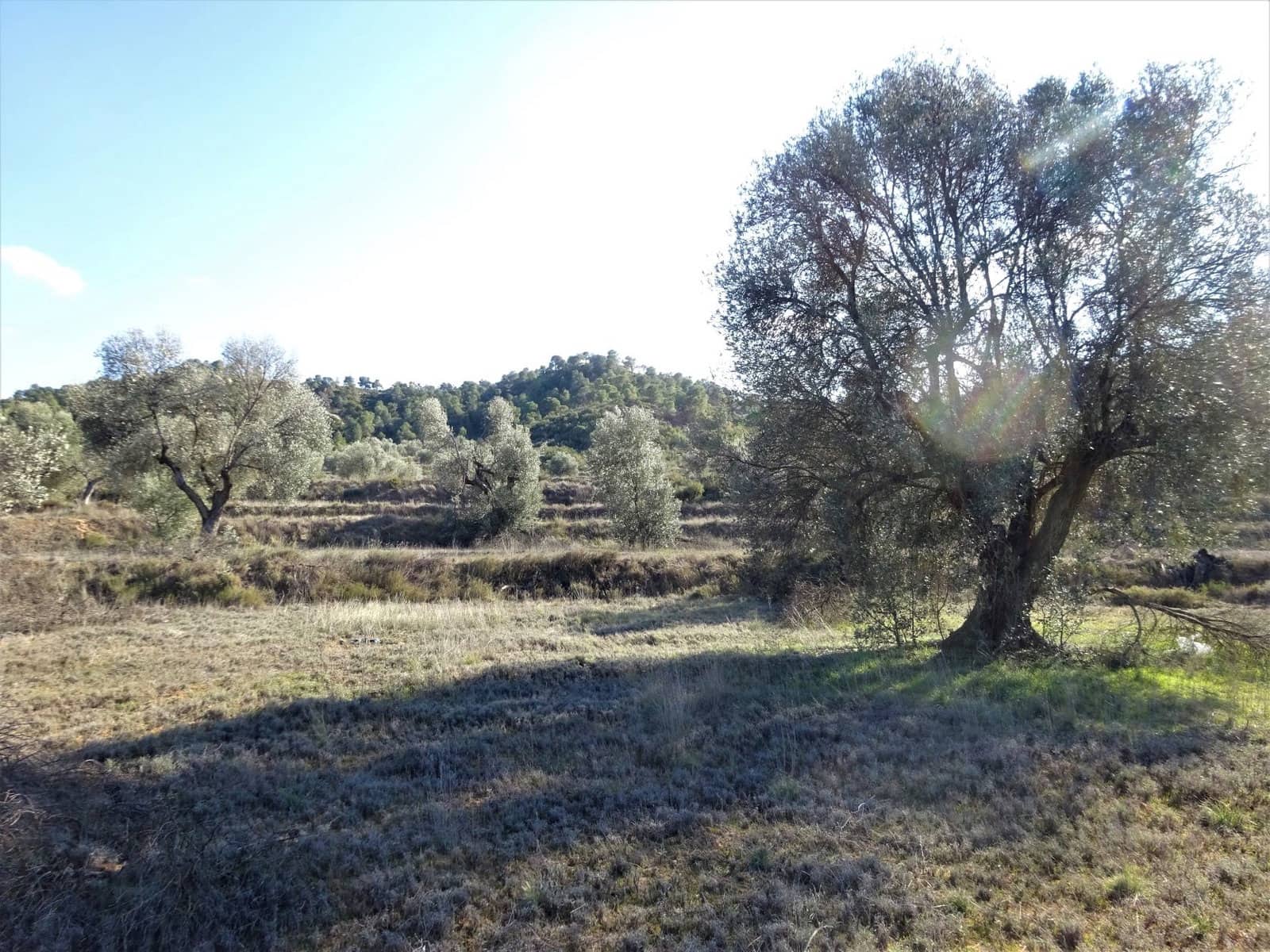 Finca/Country House for sale in Maella - € 16,000 (Ref: 7406944)