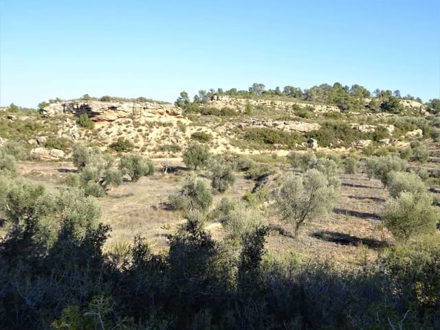 Finca/Casa Rural en Maella en venta - 16.000 € (Ref: 7406944)