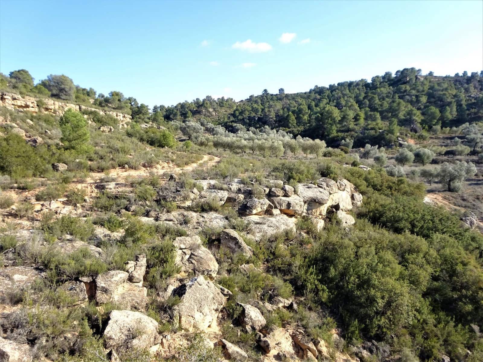 Finca/Country House for sale in Maella - € 16,000 (Ref: 7406944)