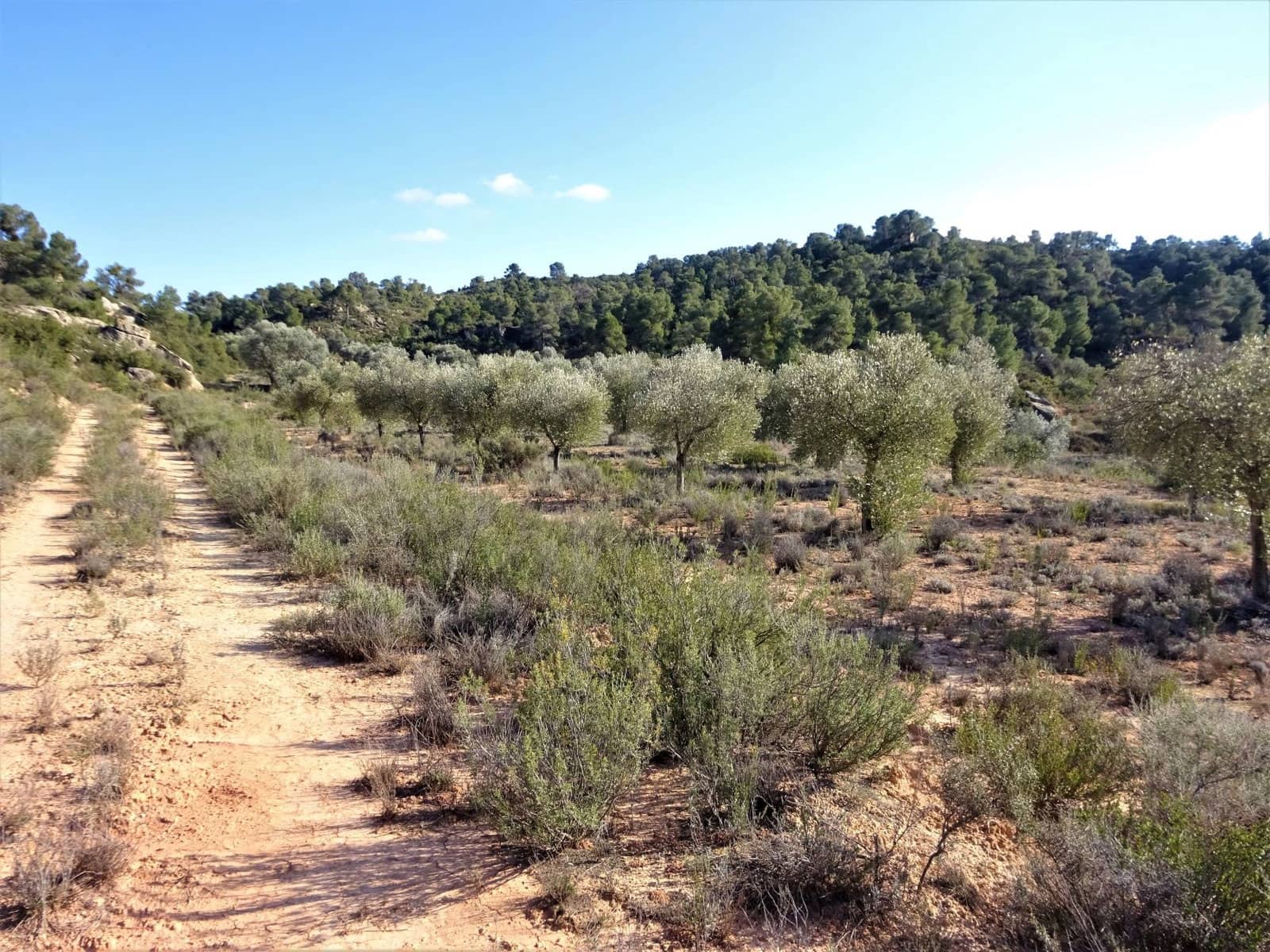 Finca/Country House for sale in Maella - € 16,000 (Ref: 7406944)