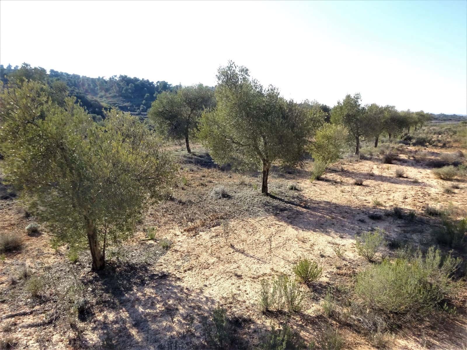 Finca/Country House for sale in Maella - € 16,000 (Ref: 7406944)