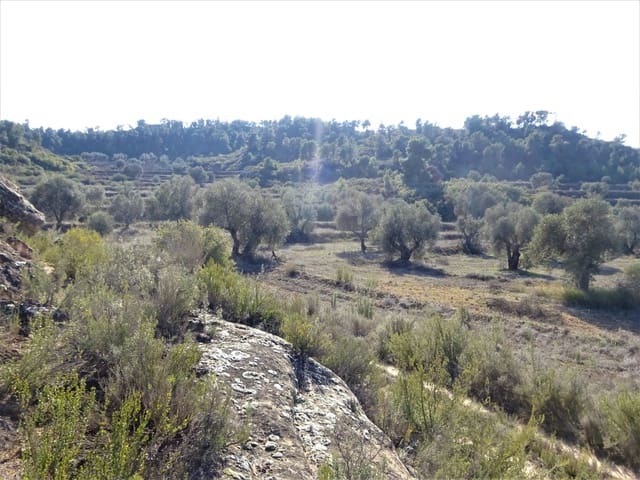 Finca/Casa Rural en Maella en venta - 16.000 € (Ref: 7406944)