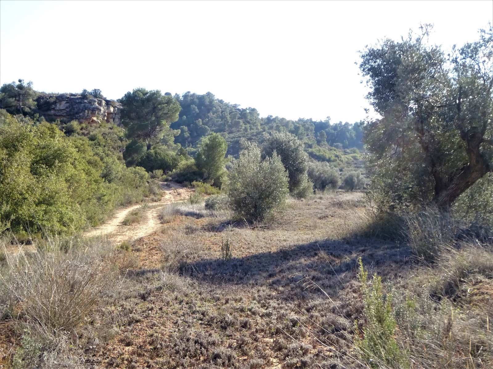 Finca/Country House for sale in Maella - € 16,000 (Ref: 7406944)
