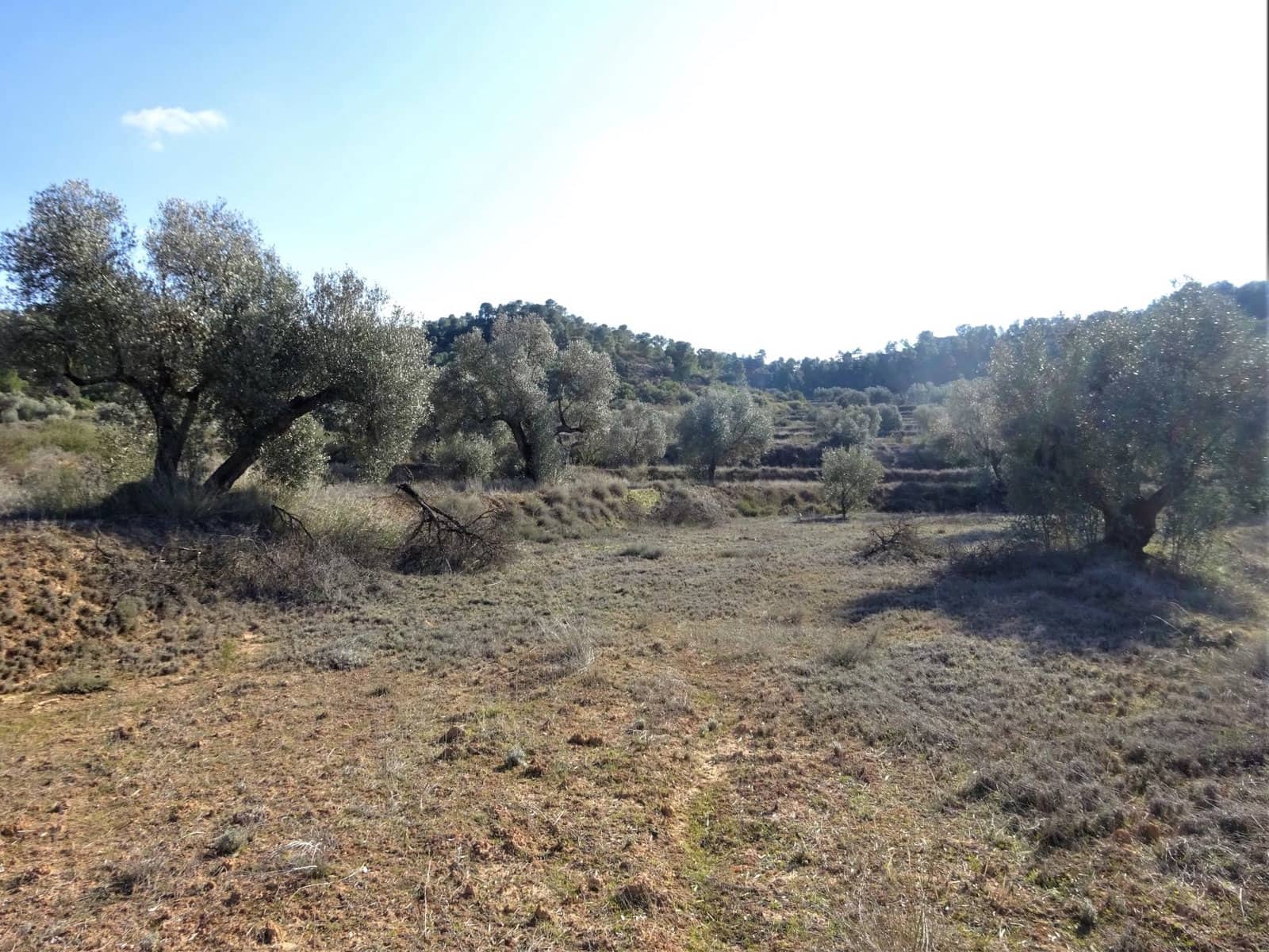 Finca/Country House for sale in Maella - € 16,000 (Ref: 7406944)