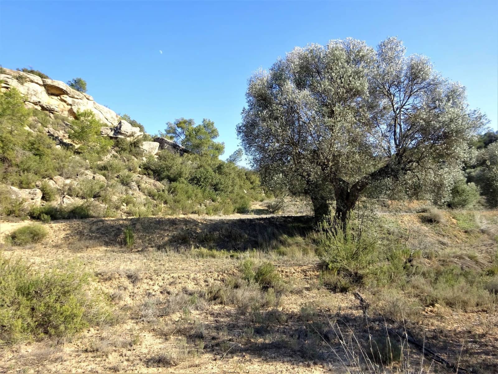 Finca/Country House for sale in Maella - € 16,000 (Ref: 7406944)