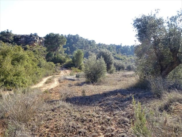 Finca/Casa Rural en Maella en venta - 16.000 € (Ref: 7406944)
