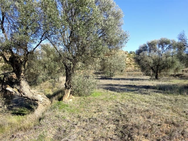 Finca/Casa Rural en Maella en venta - 16.000 € (Ref: 7406944)