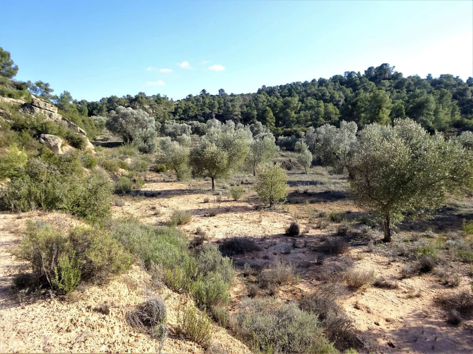 Finca/Country House for sale in Maella - € 16,000 (Ref: 7406944)