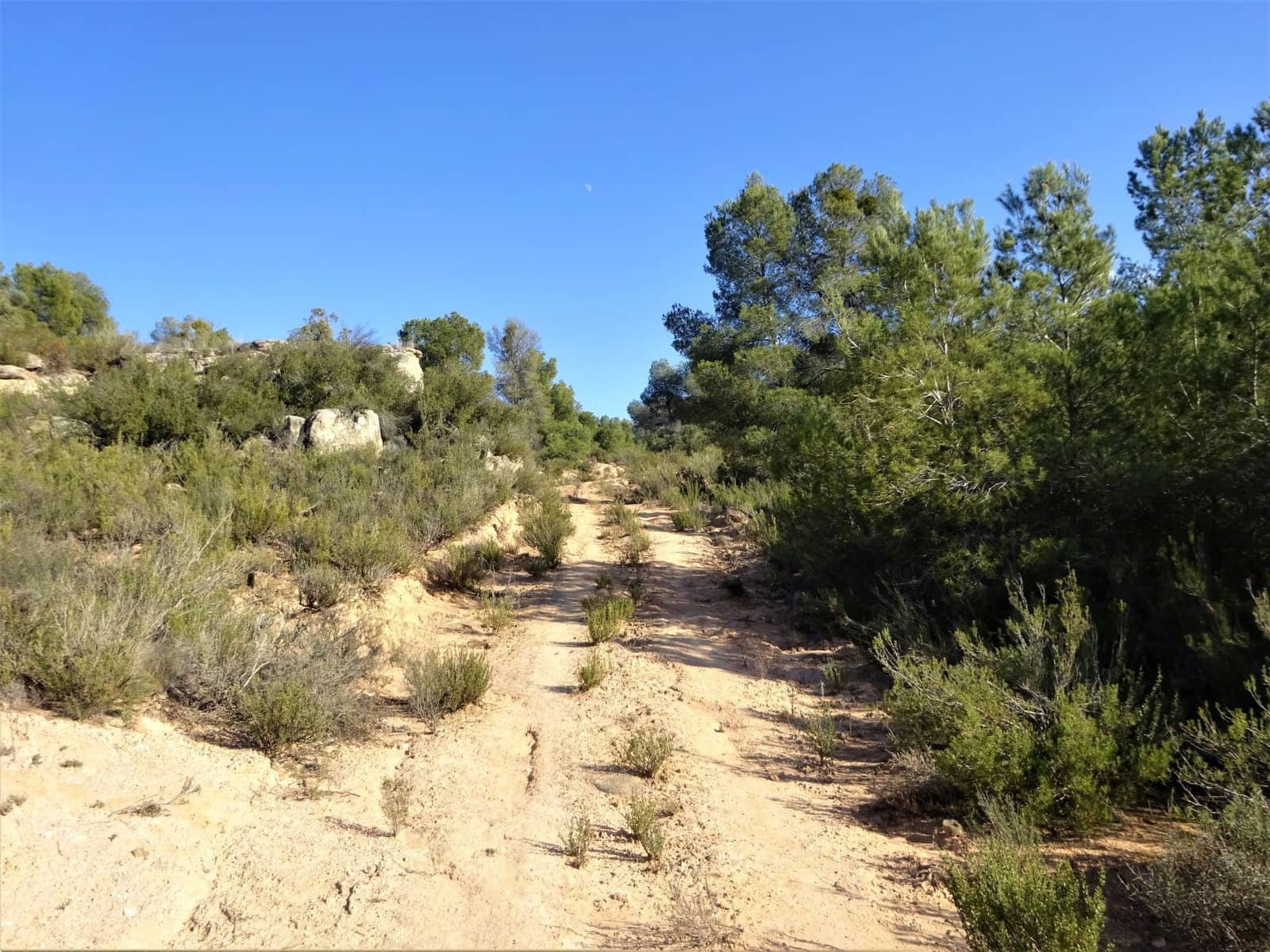 Finca/Country House for sale in Maella - € 16,000 (Ref: 7406944)