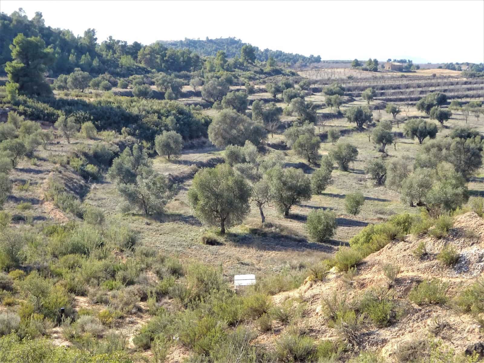 Finca/Country House for sale in Maella - € 16,000 (Ref: 7406944)