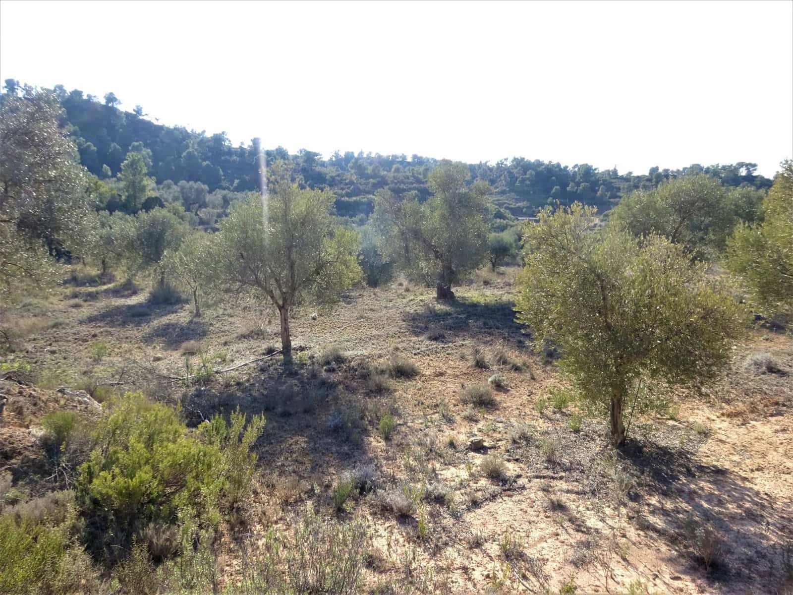 Finca/Country House for sale in Maella - € 16,000 (Ref: 7406944)