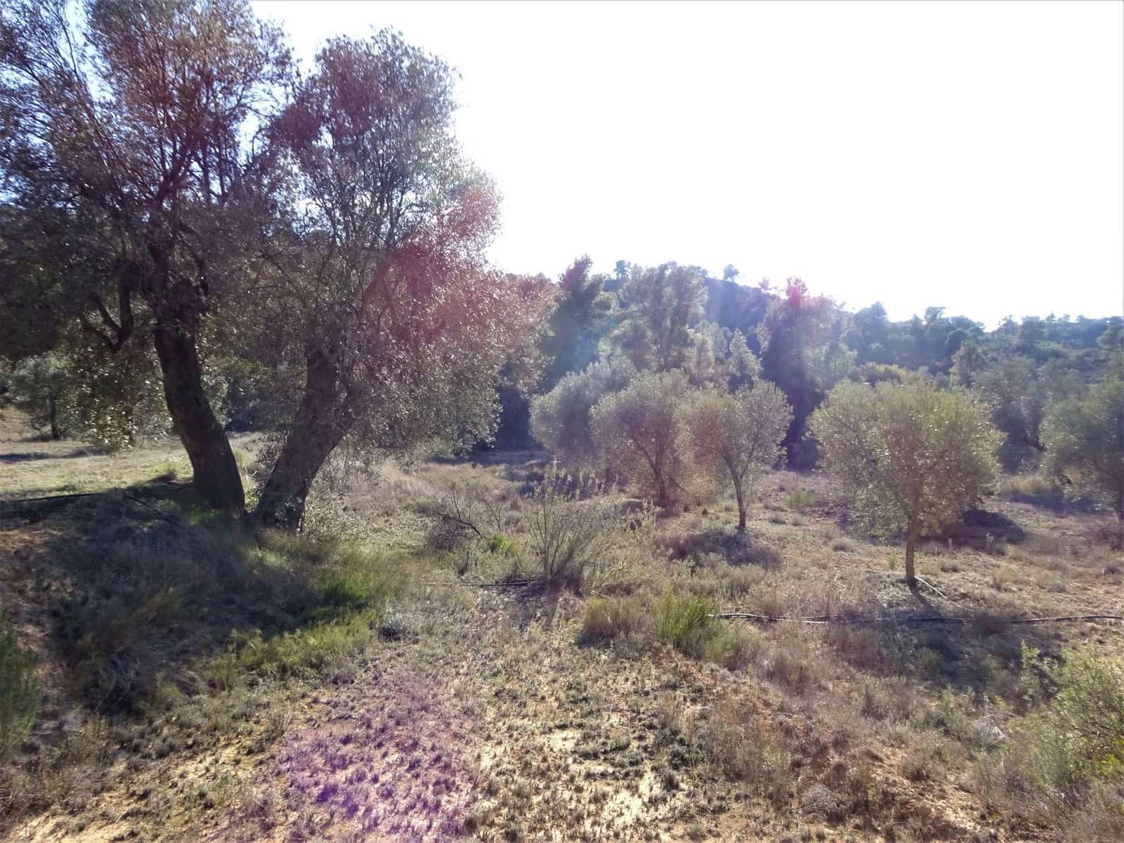 Finca/Country House for sale in Maella - € 16,000 (Ref: 7406944)