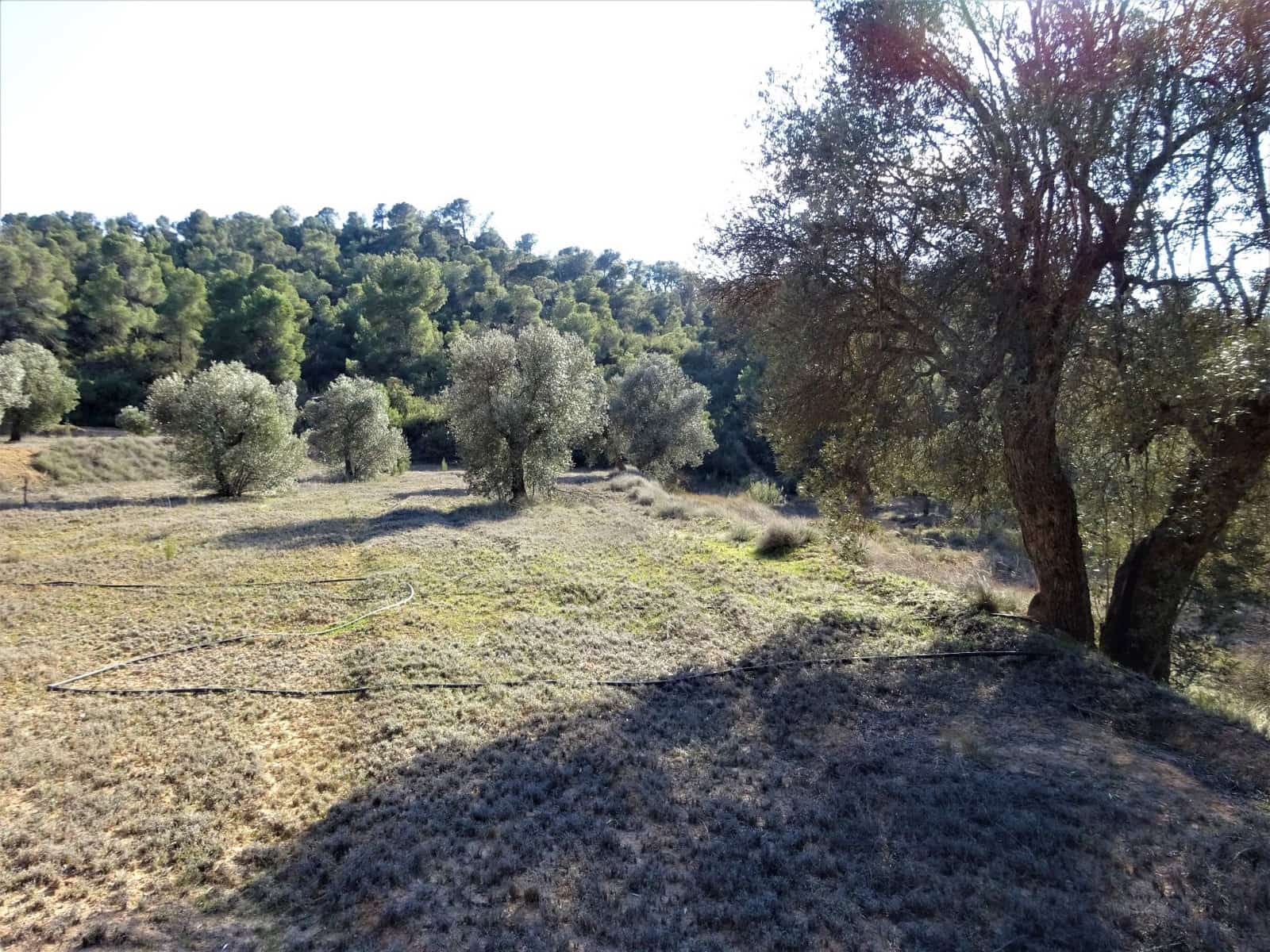 Finca/Country House for sale in Maella - € 16,000 (Ref: 7406944)