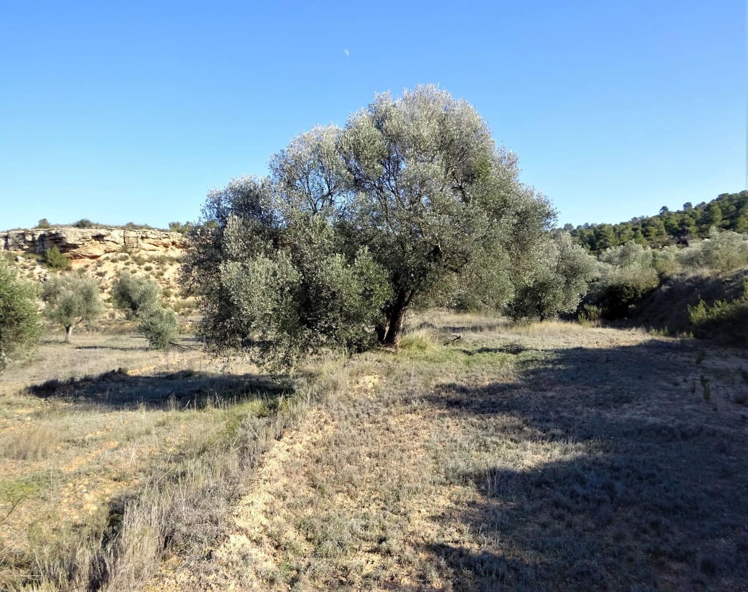 Finca/Country House for sale in Maella - € 16,000 (Ref: 7406944)