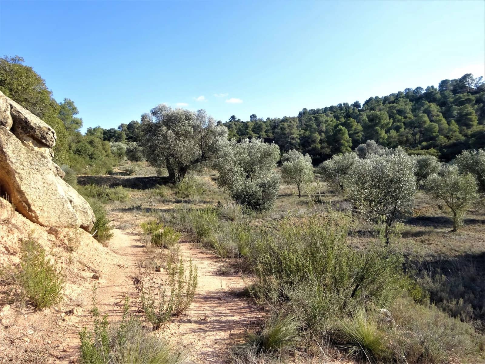 Finca/Country House for sale in Maella - € 16,000 (Ref: 7406944)