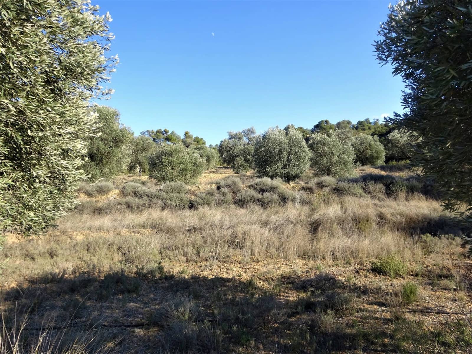Finca/Country House for sale in Maella - € 16,000 (Ref: 7406944)