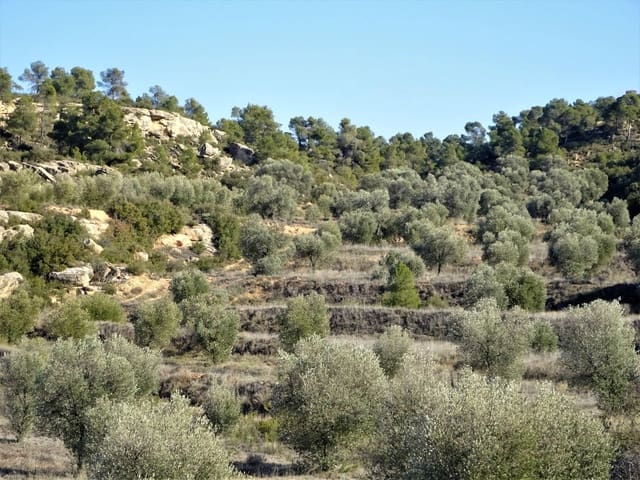 Finca/Casa Rural en Maella en venta - 16.000 € (Ref: 7406944)