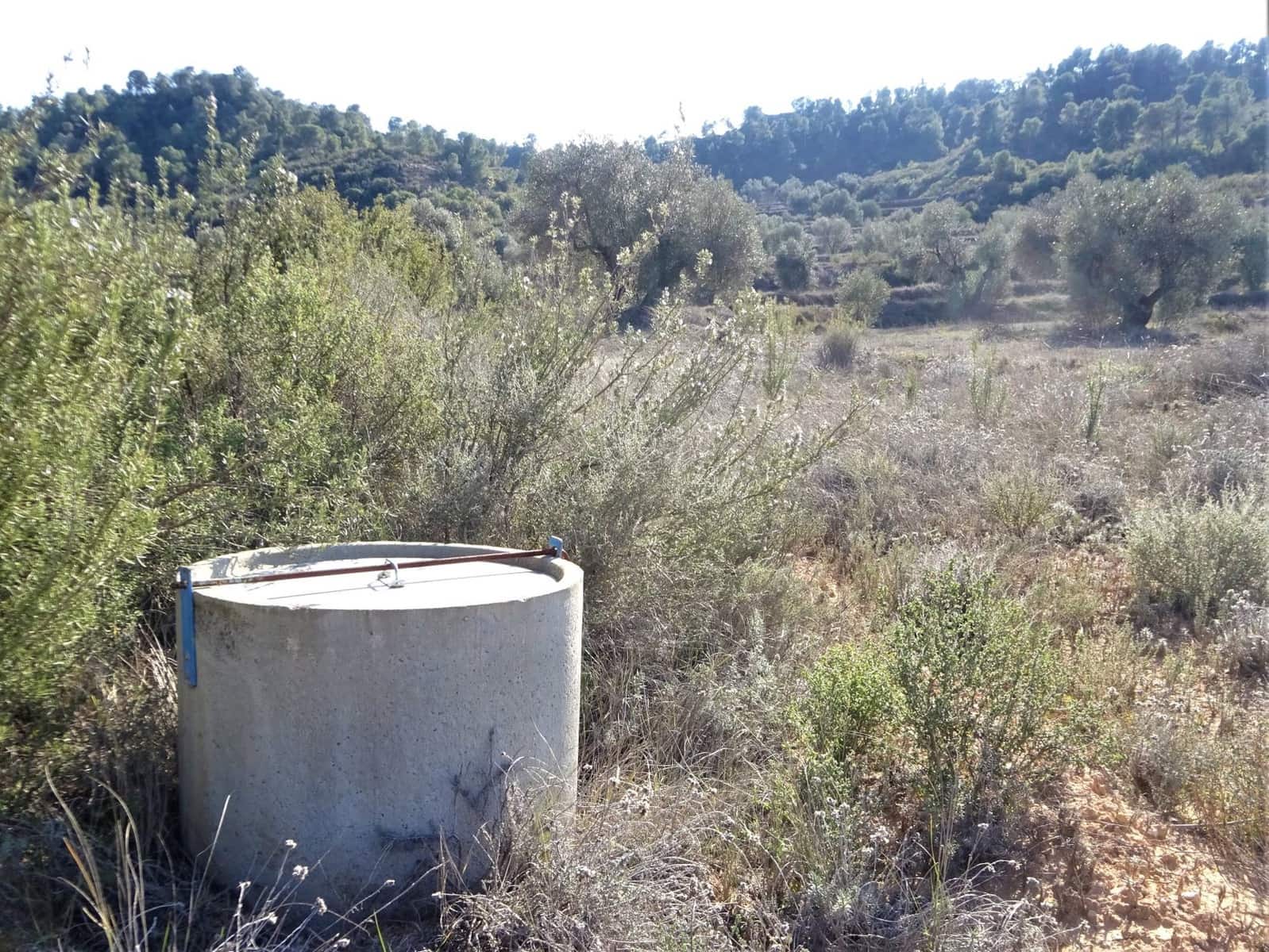 Finca/Country House for sale in Maella - € 16,000 (Ref: 7406944)