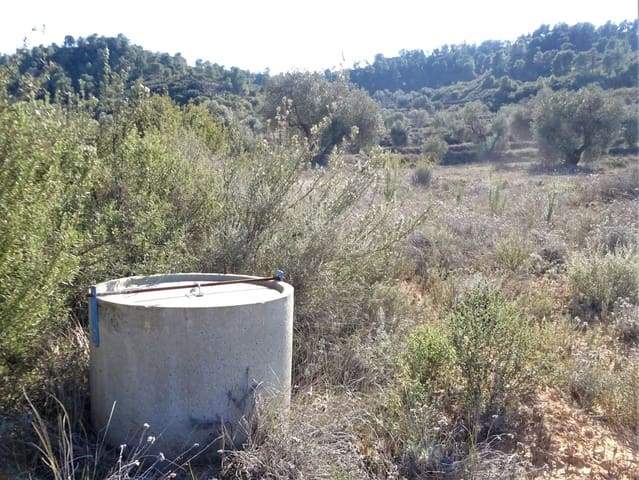 Finca/Casa Rural en Maella en venta - 16.000 € (Ref: 7406944)