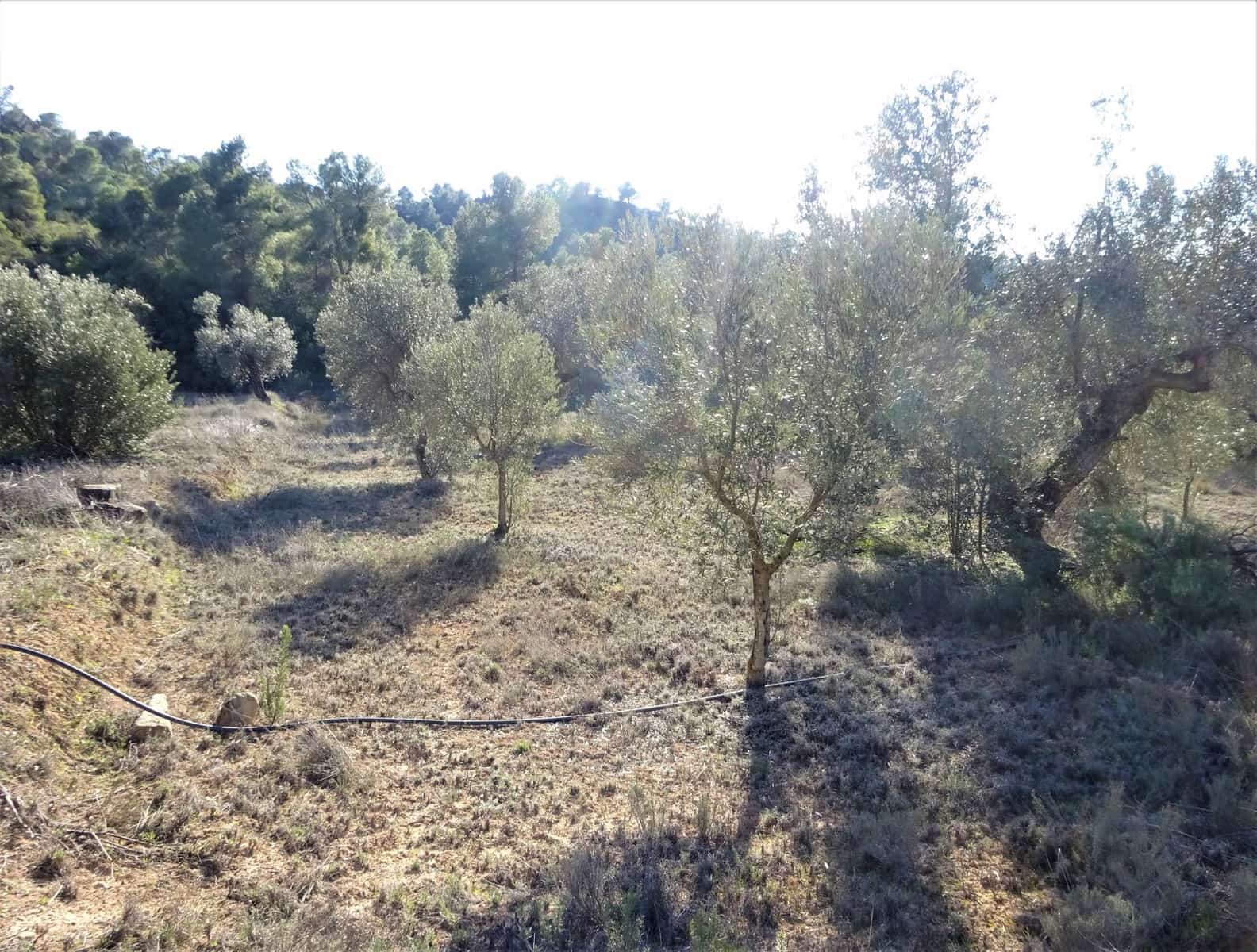 Finca/Country House for sale in Maella - € 16,000 (Ref: 7406944)