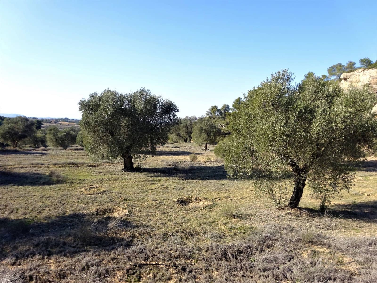 Finca/Country House for sale in Maella - € 16,000 (Ref: 7406944)